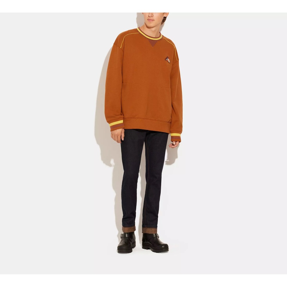 Coach FW22 Forever Caramel Logo Crewneck Sweatshirt Mens XS Brown CD209 - Picture 2 of 9